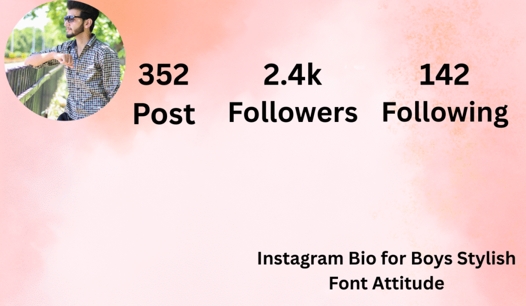 Instagram Bio for Boys Stylish Font Attitude