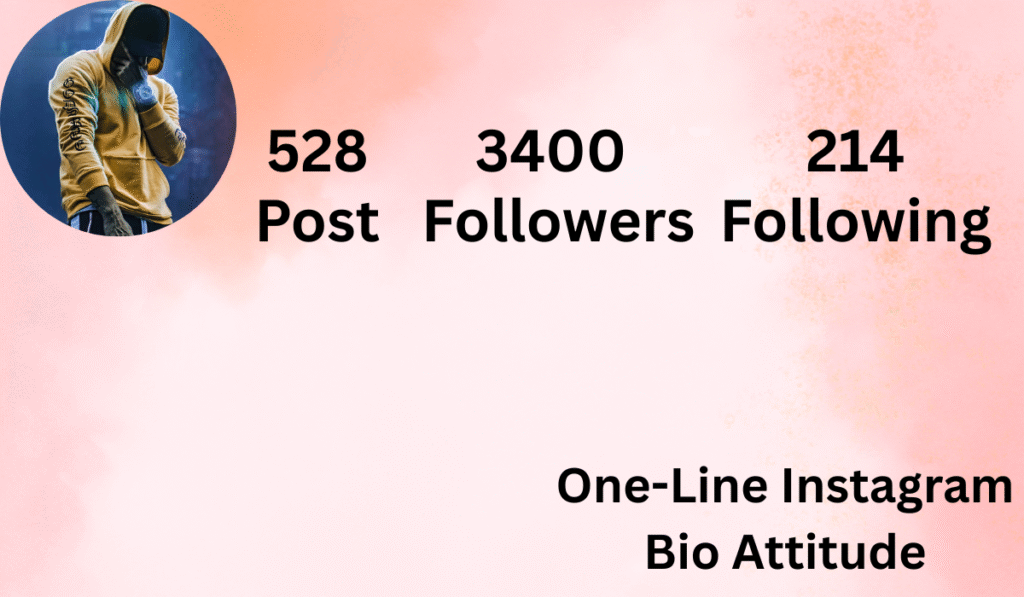 One-Line Instagram Bio Attitude