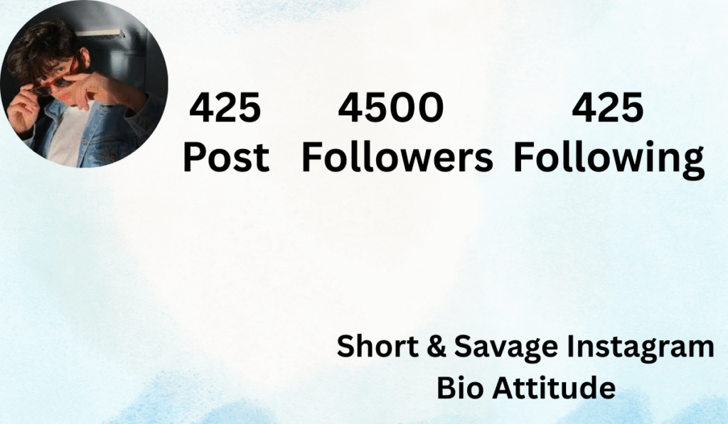 Short & Savage Instagram Bio Attitude