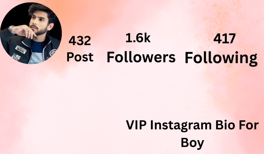 VIP Instagram Bio For Boy