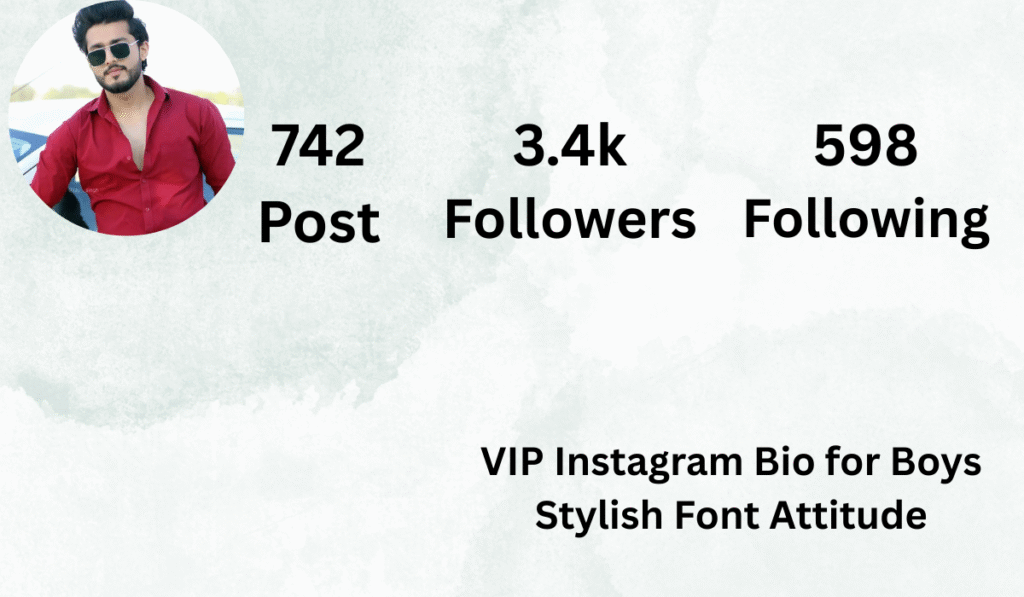VIP Instagram Bio for Boys Stylish Font Attitude