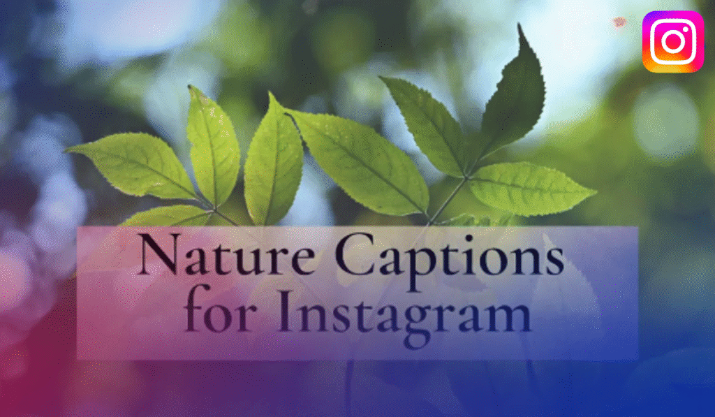 Nature Caption for Instagram