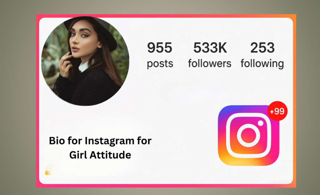 Bio for Instagram for Girls Attitude